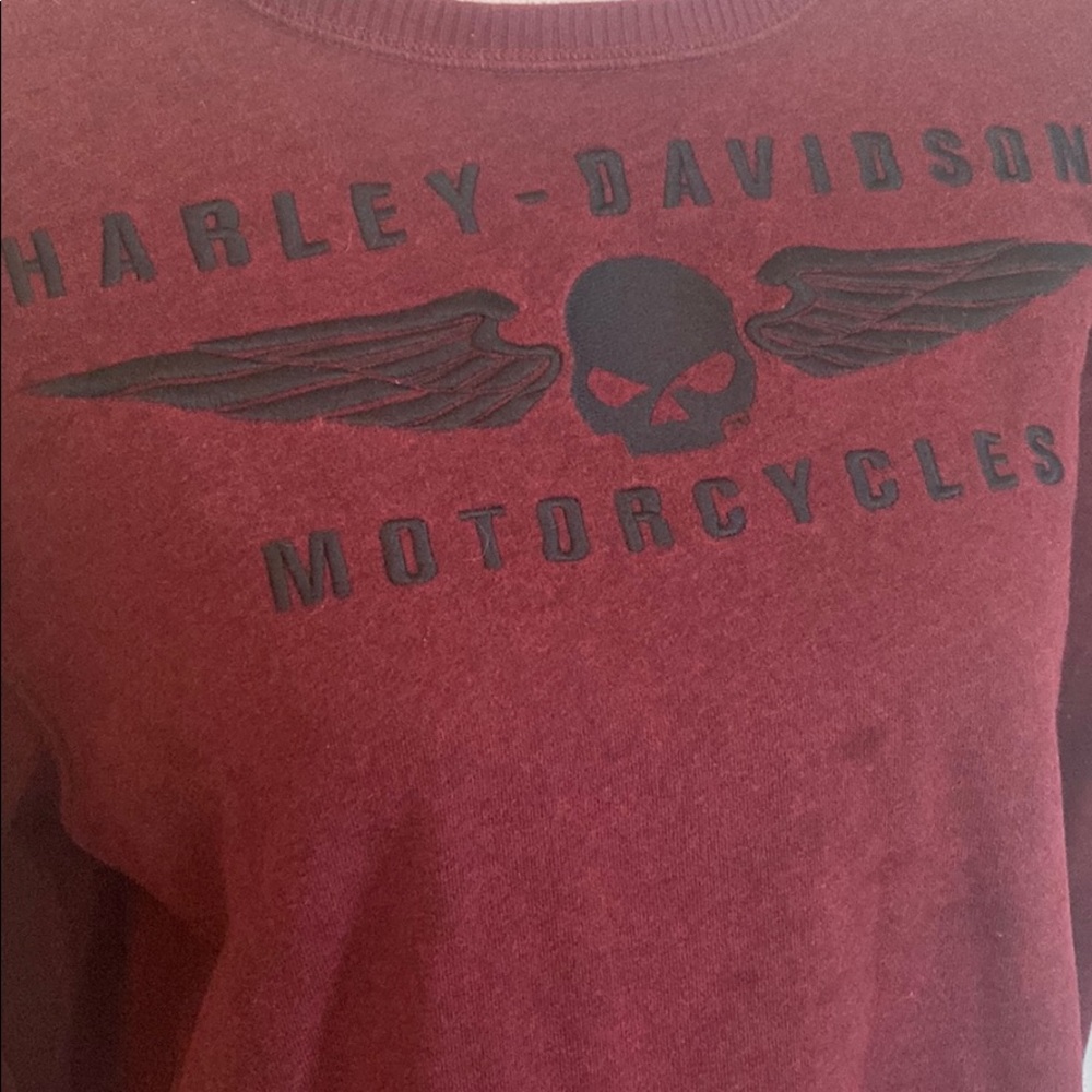 Vintage Looking Harley Davidson Men’s Sweatshirt Size M - Picture 2 of 7